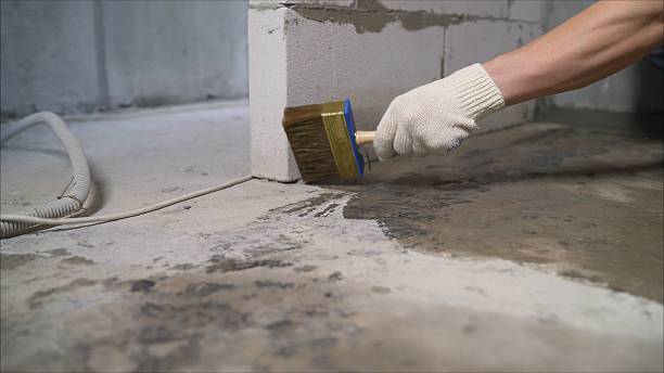 24/7 Emergency Waterproofing experts in Dundee, MI